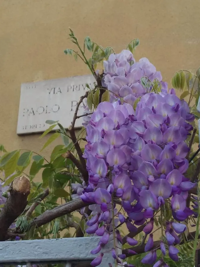 Appartamento Amami Milano Italia
